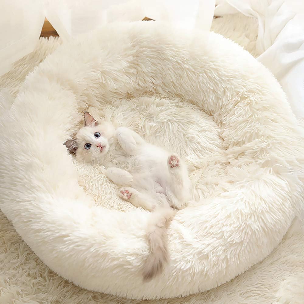 CAMA DE GATO